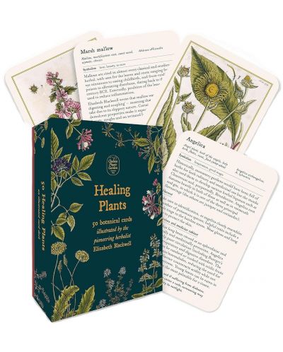 Healing Plants: A Botanical Card Deck (50 Cards and Booklet) - 3